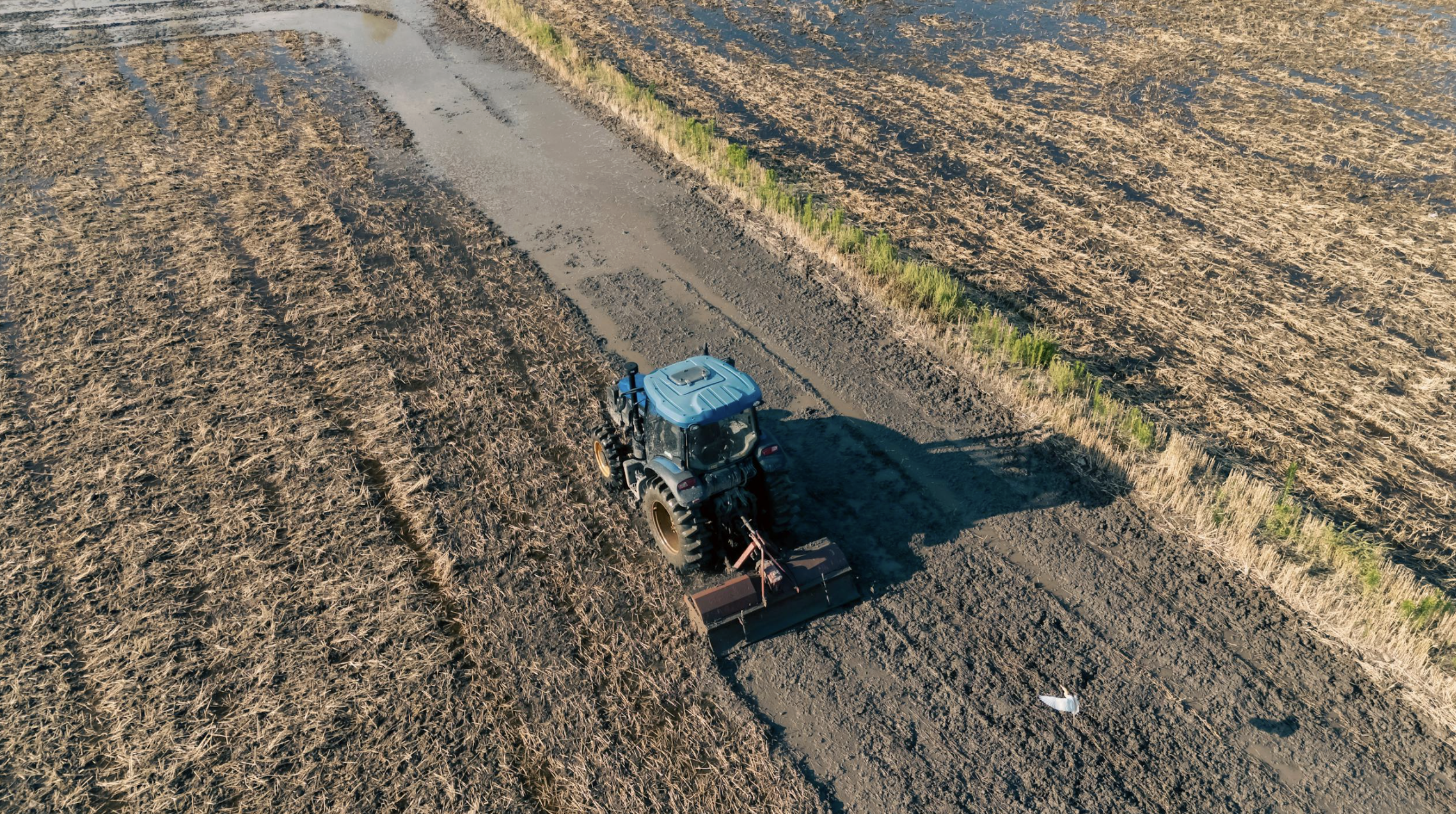 Agricultural field